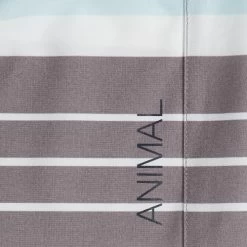 Animal Mens Tarley Boardshorts -Water Sports Equipment CL9SQ009C06 ALT06 500x500 1