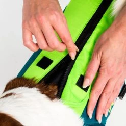 Jobe Pet Vest Lime/Teal -Water Sports Equipment jobe pet vest lime 240023001 5 500x500 1